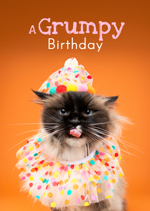 Verjaardagskaarten - Grappige verjaardagskaart van grumpy kat met feestkleding