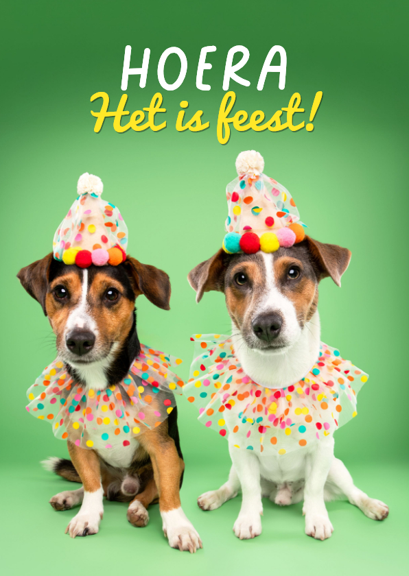 Verjaardagskaarten - Grappige verjaardagskaart van hondjes met feestkleding