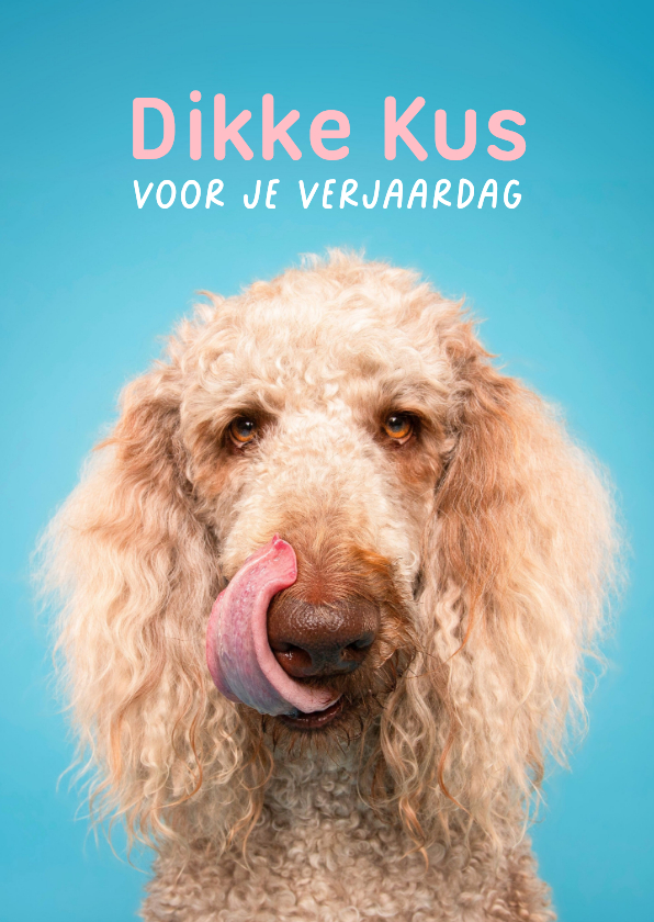 Verjaardagskaarten - Grappige verjaardagskus door de brievenbus van poedel 