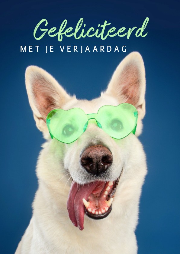 Verjaardagskaarten - Grappige vrolijke verjaardagskaart van hond met zonnebril