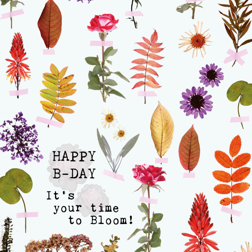 Verjaardagskaarten - Happy B-day It's your time to bloom!