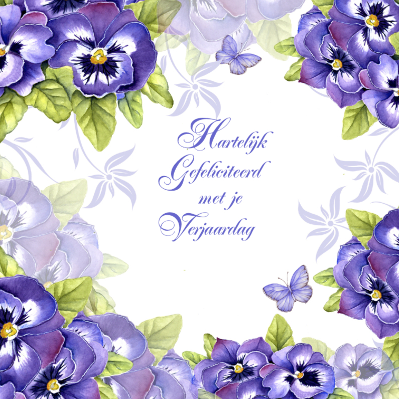 Hartelijk Gefeliciteerd violen - Verjaardagskaarten Verjaardagskaarten - Hartelijk Gefeliciteerd violen