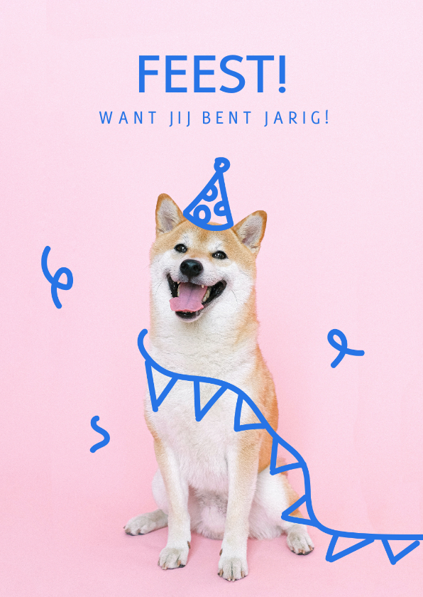 Verjaardagskaarten - Hippe felicitatiekaart met hond met feesthoedje