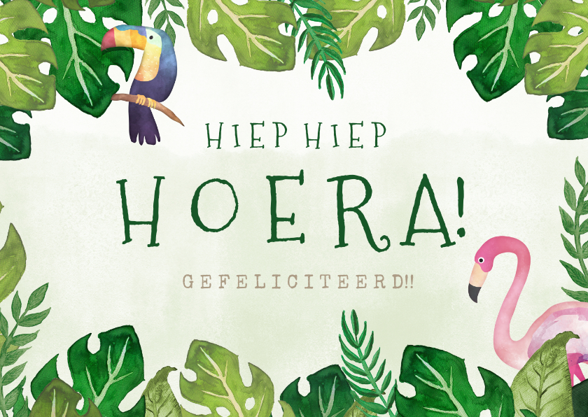 Verjaardagskaarten - Hippe  tropische jungle verjaardagskaart flamingo en toekan