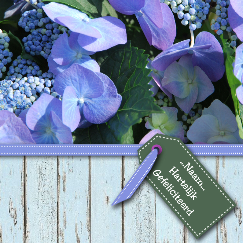 Verjaardagskaarten - Hortensia hout en lint