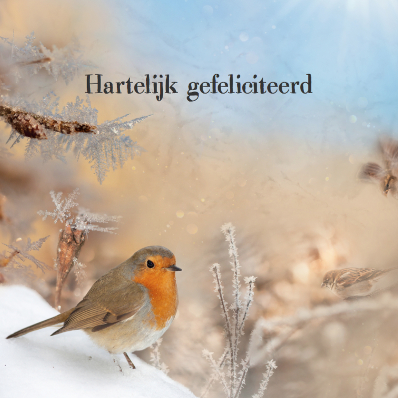 Verjaardagskaarten - Jarig met roodborstje in wintersfeer