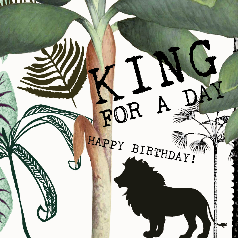 King for a day verjaardagskaart - Verjaardagskaarten Verjaardagskaarten - King for a day verjaardagskaart