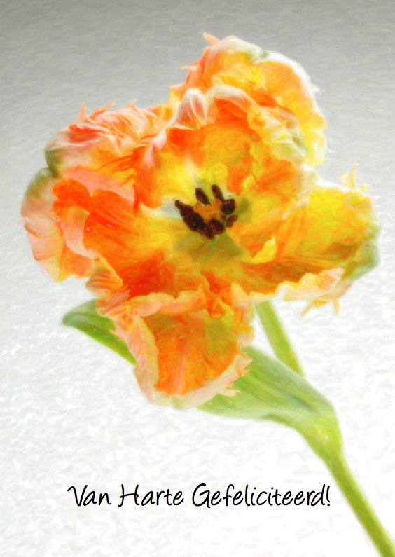 Klassiek geschilderde Tulp - Verjaardagskaarten Verjaardagskaarten - Klassiek geschilderde Tulp