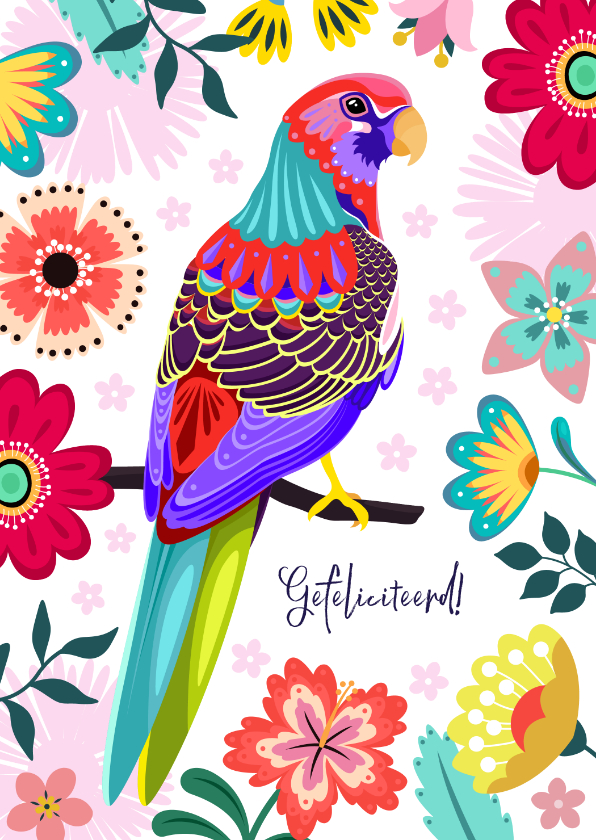 Verjaardagskaarten - Kleurrijke papegaai verjaardagskaart