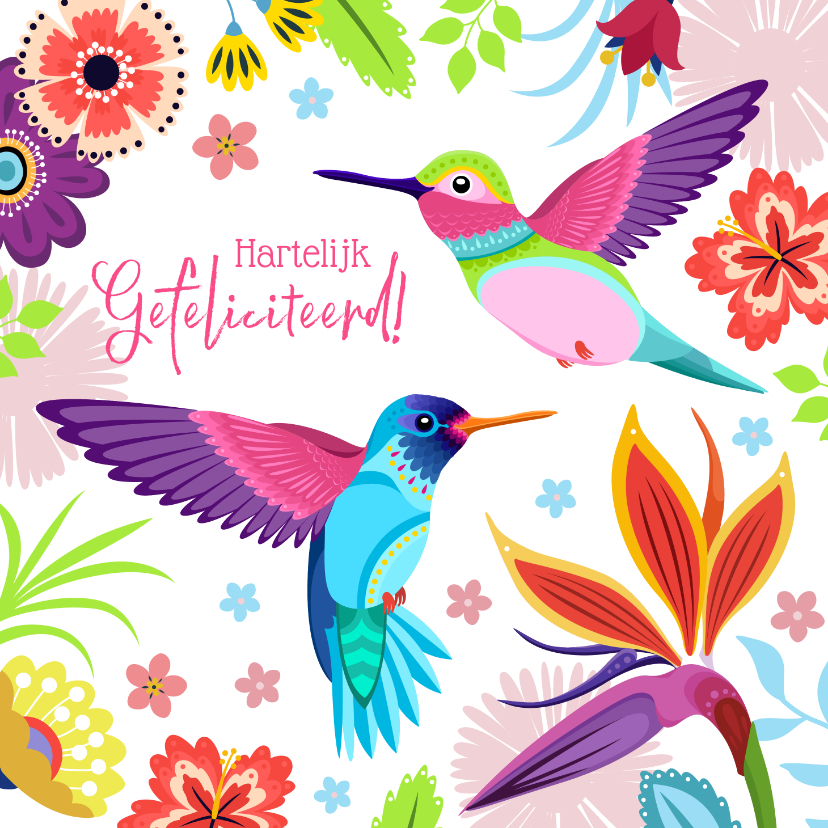 Verjaardagskaarten - Kleurrijke vogels verjaardagskaart