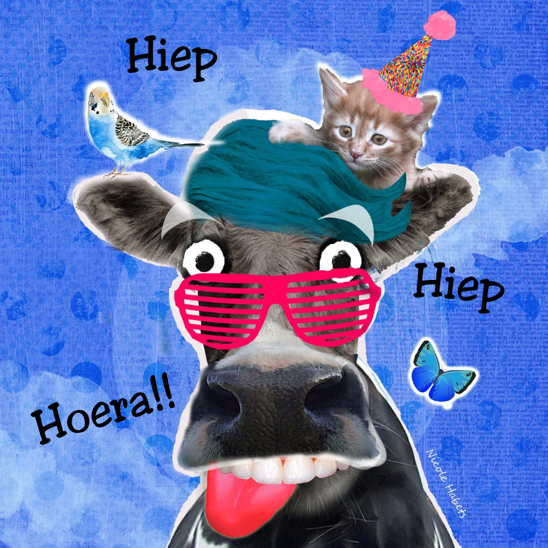 koe met kat en vogel - Verjaardagskaarten Verjaardagskaarten - koe met kat en vogel