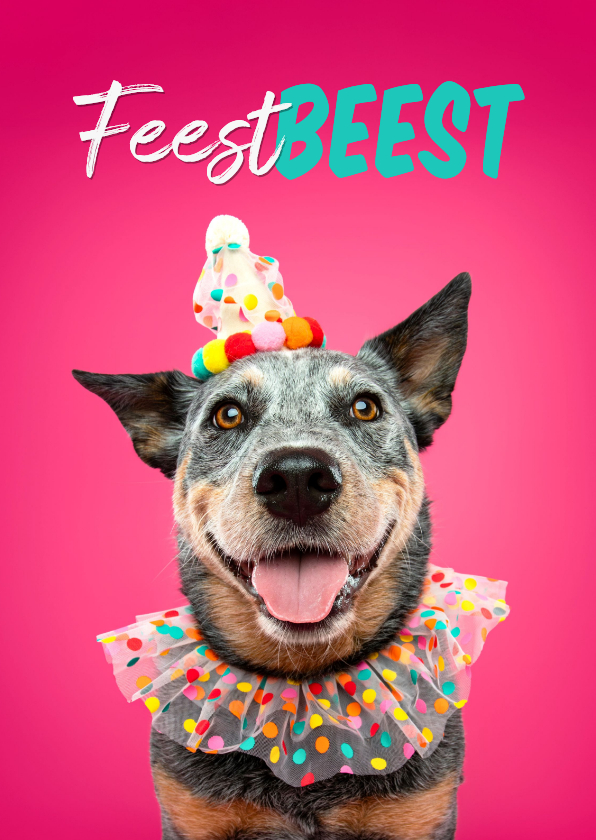 Verjaardagskaarten - Leuke verjaardagskaart hond in feestkleding feestbeest