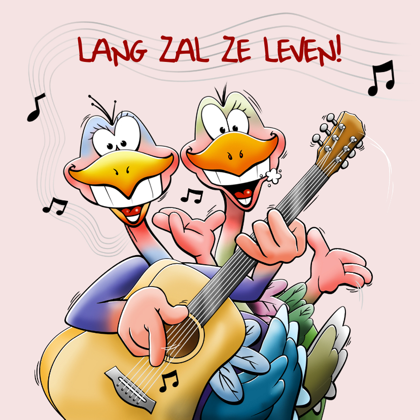 Verjaardagskaarten - Leuke verjaardagskaart met 2 muzikale vogels en gitaar