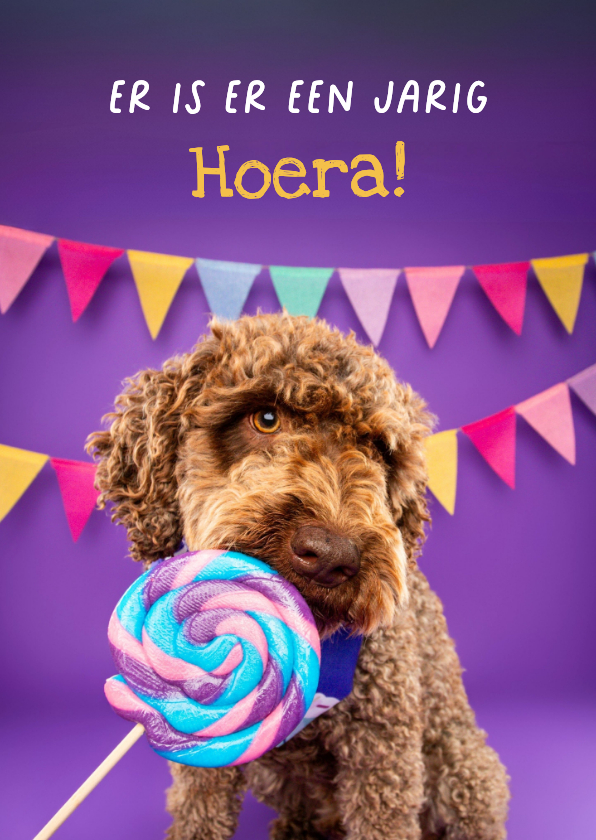 Lieve verjaardagskaart hond met lolly en slingers - Verjaardagskaarten Verjaardagskaarten - Lieve verjaardagskaart hond met lolly en slingers