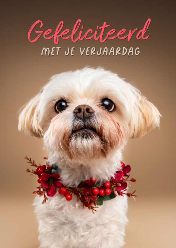 Verjaardagskaarten - Lieve verjaardagskaart van boomer hondje met bloemenkrans