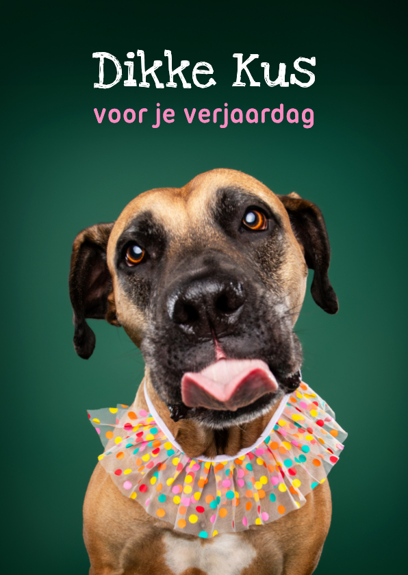 Lieve verjaardagskaart van hond met kraag en tong - Verjaardagskaarten Verjaardagskaarten - Lieve verjaardagskaart van hond met kraag en tong