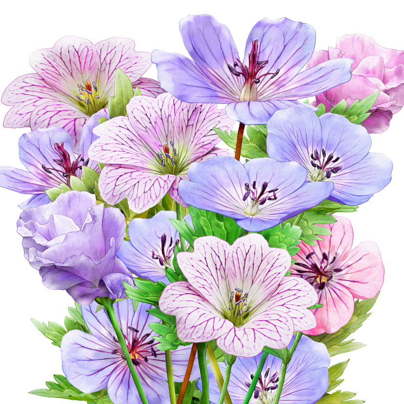 Verjaardagskaarten - Mooie bloemenkaart blauwe en roze bloemen met Bolderik