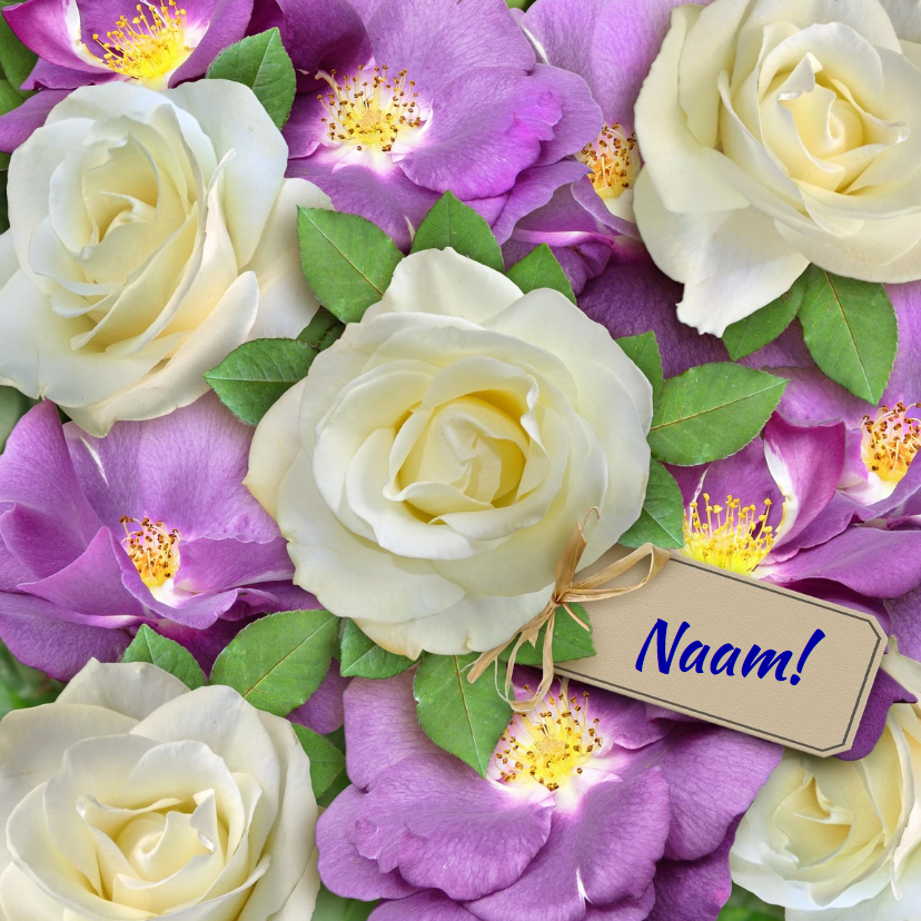 Verjaardagskaarten - Mooie verjaardagkaart witte en paarse wilde rozen