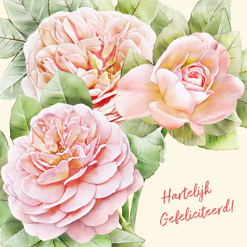 Verjaardagskaarten - Mooie verjaardagskaart met 3 perzik-kleurige rozen
