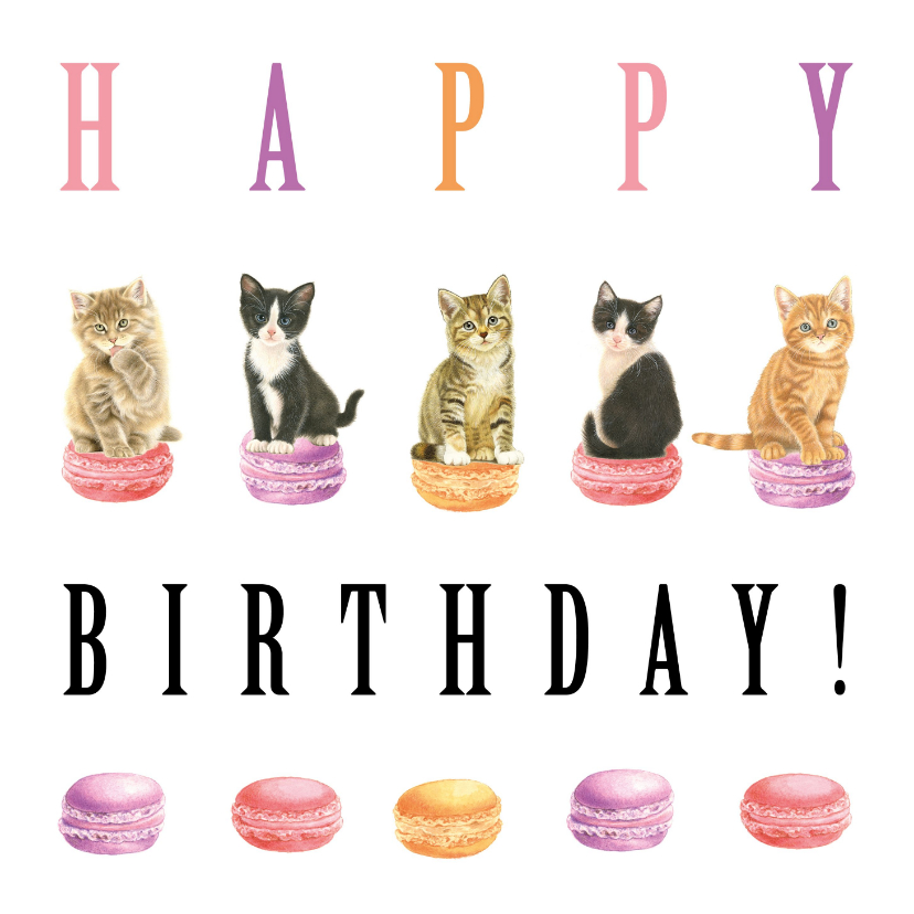 Verjaardagskaarten - Poesjes en Macarons Happy Birthday
