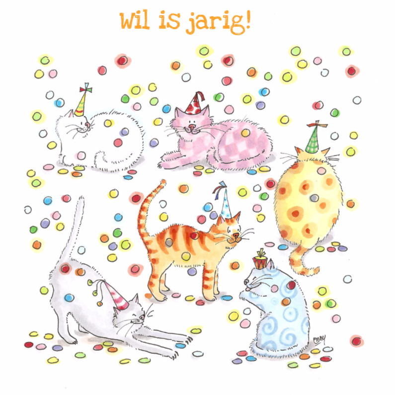 Poezenfeest - Verjaardagskaarten Verjaardagskaarten - Poezenfeest