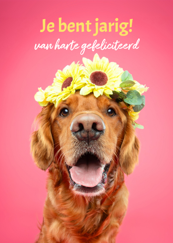 Verjaardagskaarten - Roze verjaardagskaart van hond met bloemenkrans