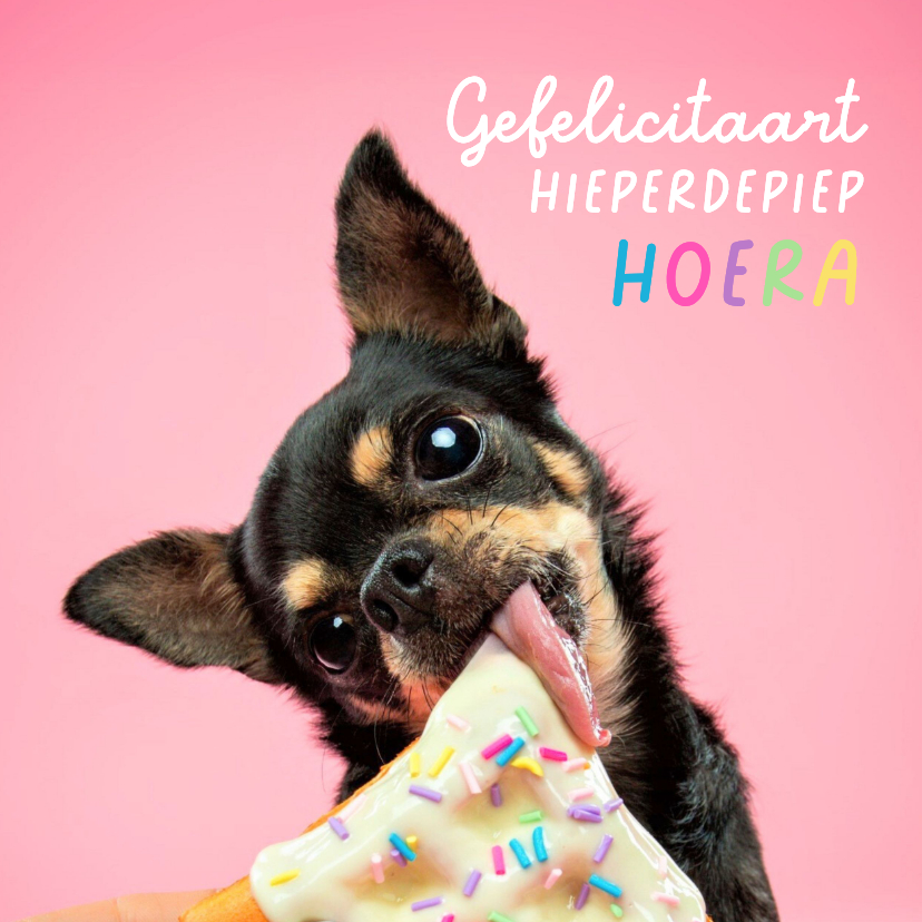 Schattige felicitatiekaart van hond met taart - Verjaardagskaarten Verjaardagskaarten - Schattige felicitatiekaart van hond met taart