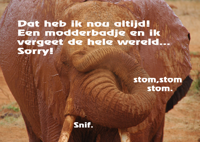 Stom stom stom - Verjaardagskaarten Verjaardagskaarten - Stom stom stom