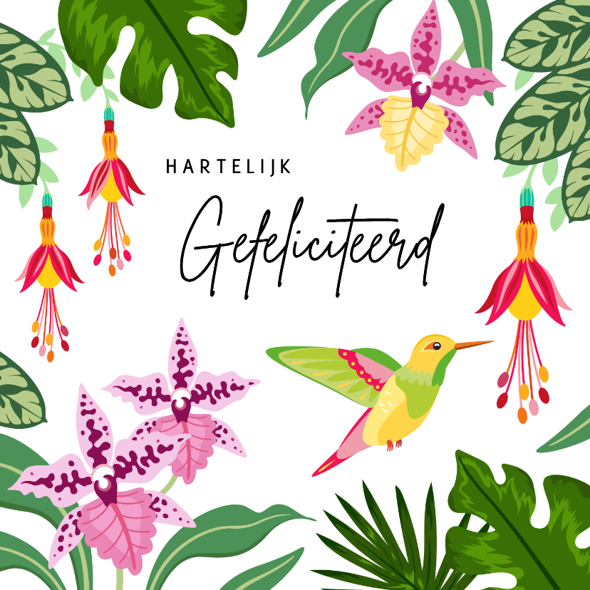 Tropische verjaardagskaart met vogel en kleurrijke bloemen - Verjaardagskaarten Verjaardagskaarten - Tropische verjaardagskaart met vogel en kleurrijke bloemen