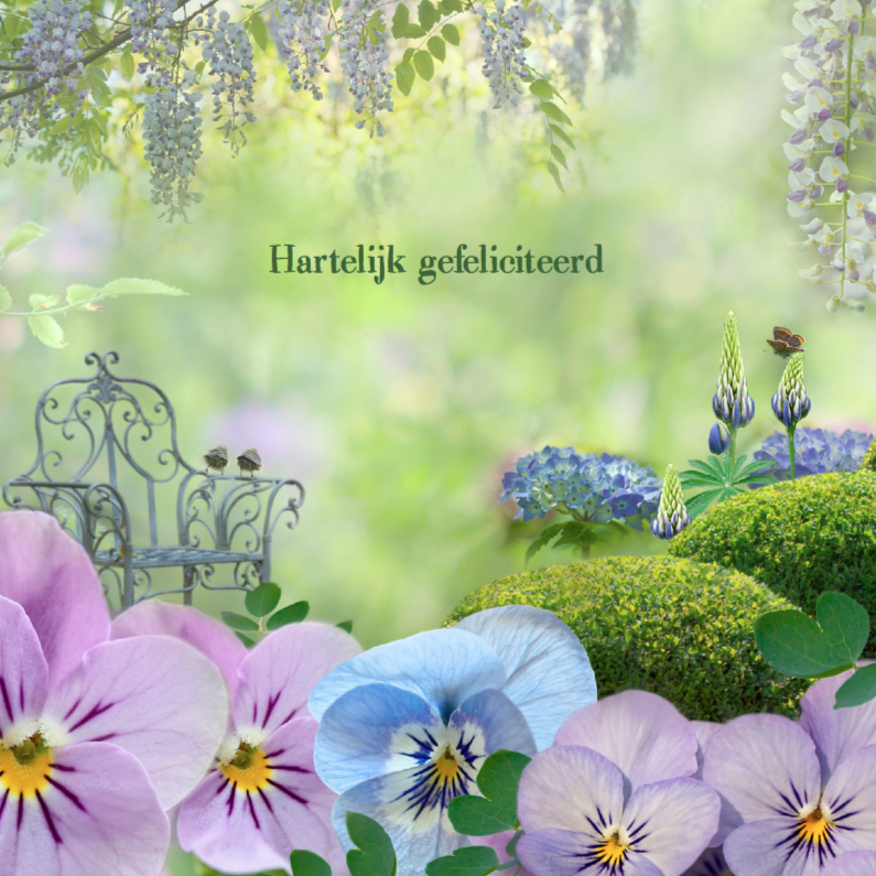 Tuinfantasie - Verjaardagskaarten Verjaardagskaarten - Tuinfantasie