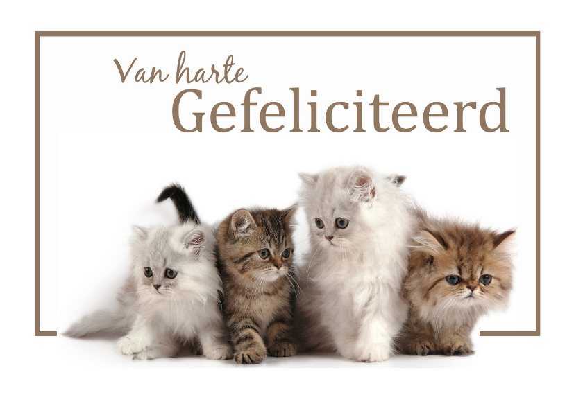 Verjaardagskaarten - Van harte Gefeliciteerd met katten