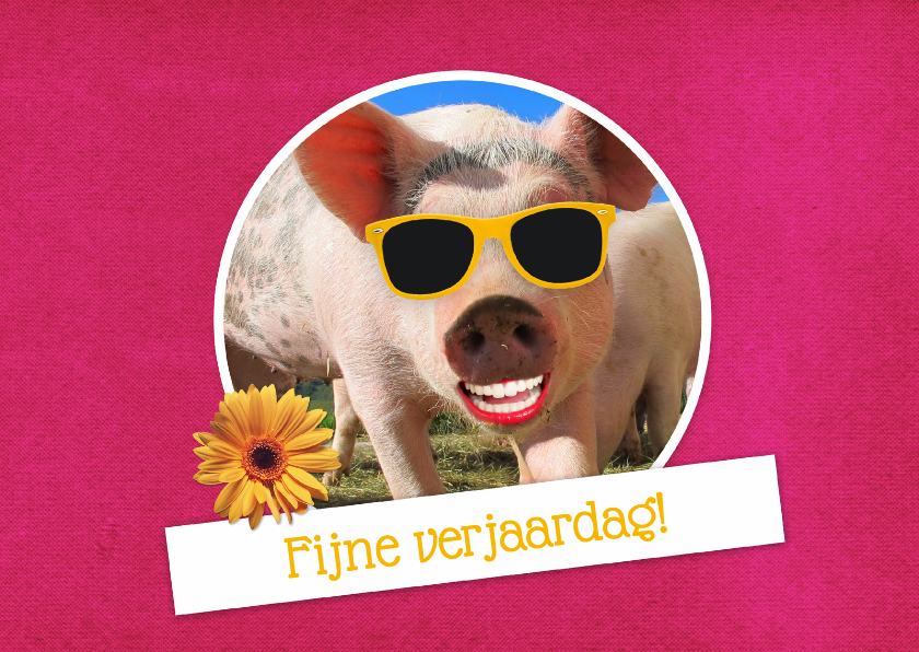 Varken grappig verjaardag - DH - Verjaardagskaarten Verjaardagskaarten - Varken grappig verjaardag - DH