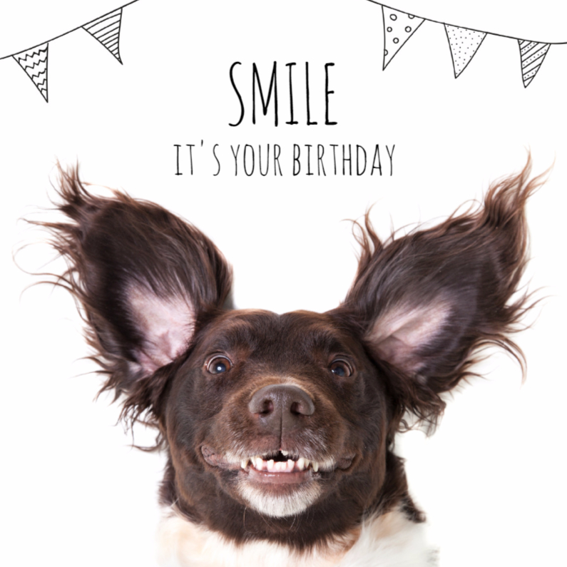 Verjaardagskaarten - Verjaardag A doggy birthday smile!