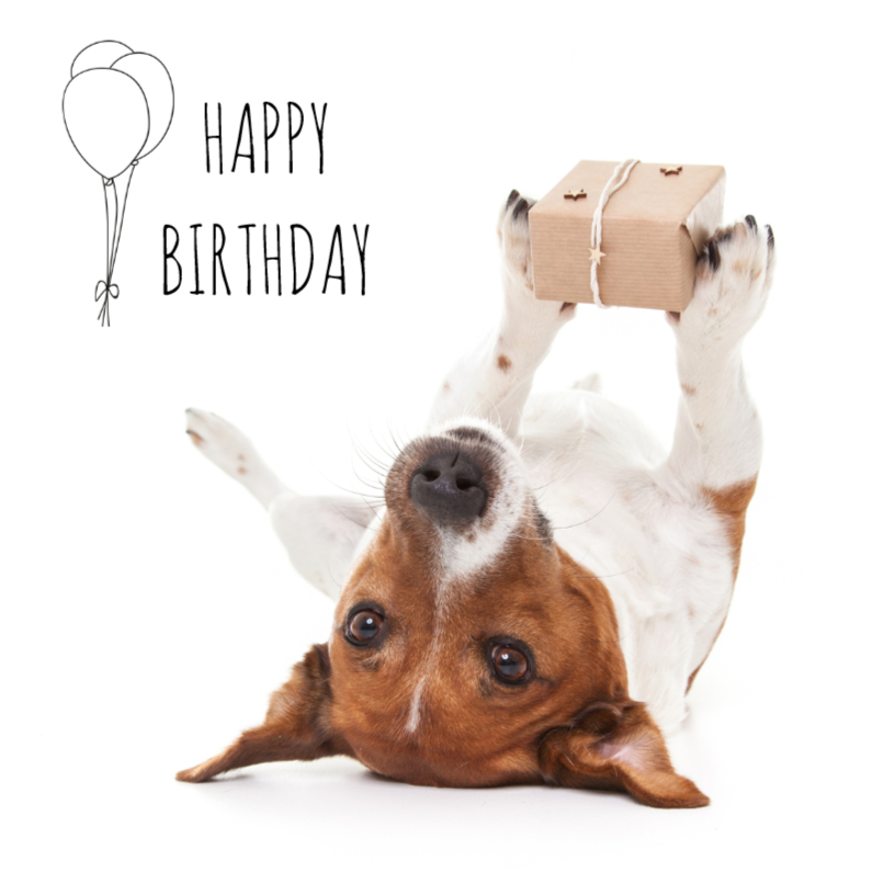 Verjaardagskaarten - Verjaardag - Boris de hond met cadeautje