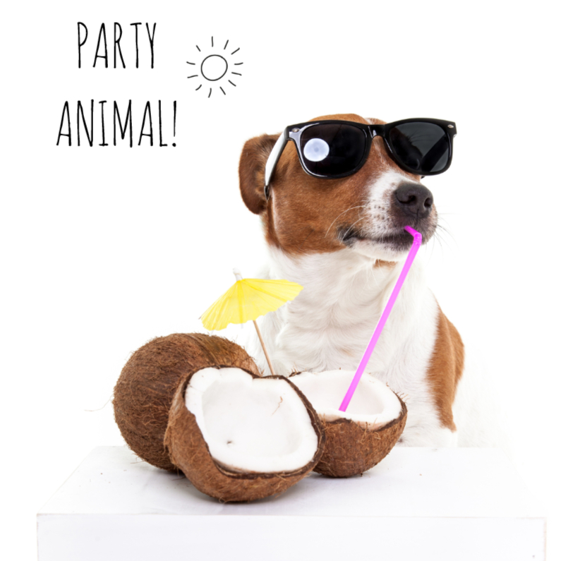 Verjaardagskaarten - Verjaardag - Boris de hond - Party Animal