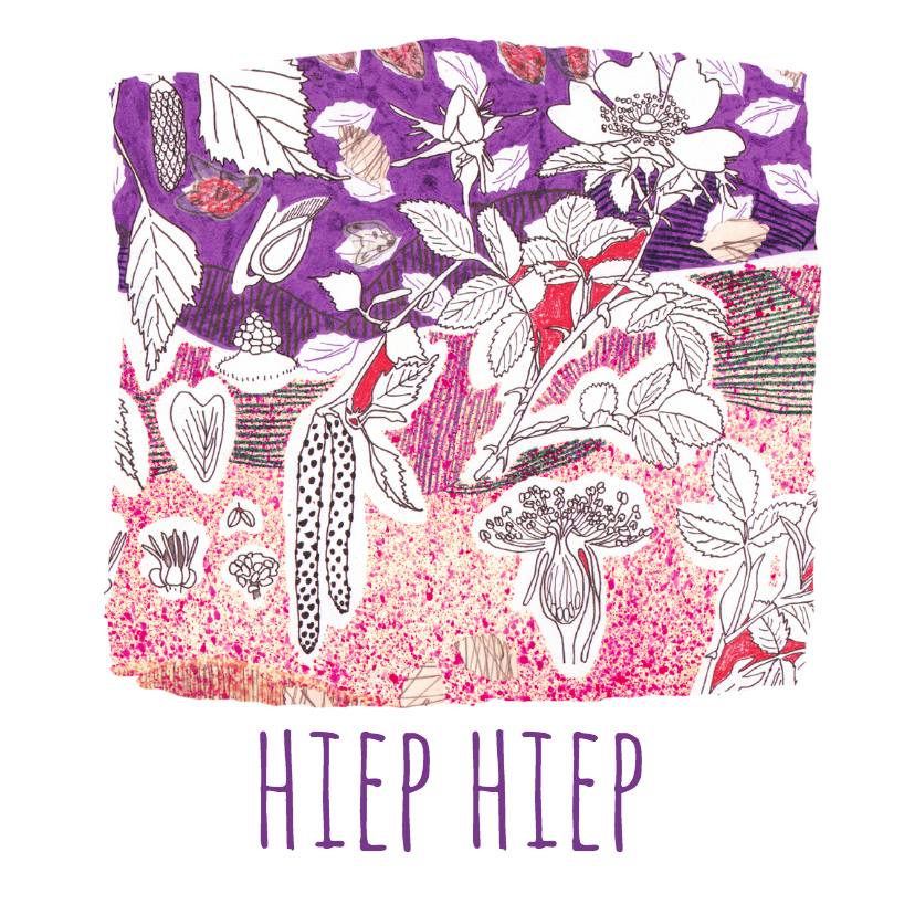 verjaardag-hiephiep-kk - Verjaardagskaarten Verjaardagskaarten - verjaardag-hiephiep-kk