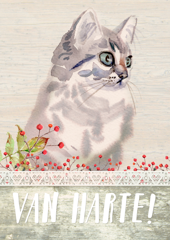 Verjaardag kaart met lief poesje - Verjaardagskaarten Verjaardagskaarten - Verjaardag kaart met lief poesje