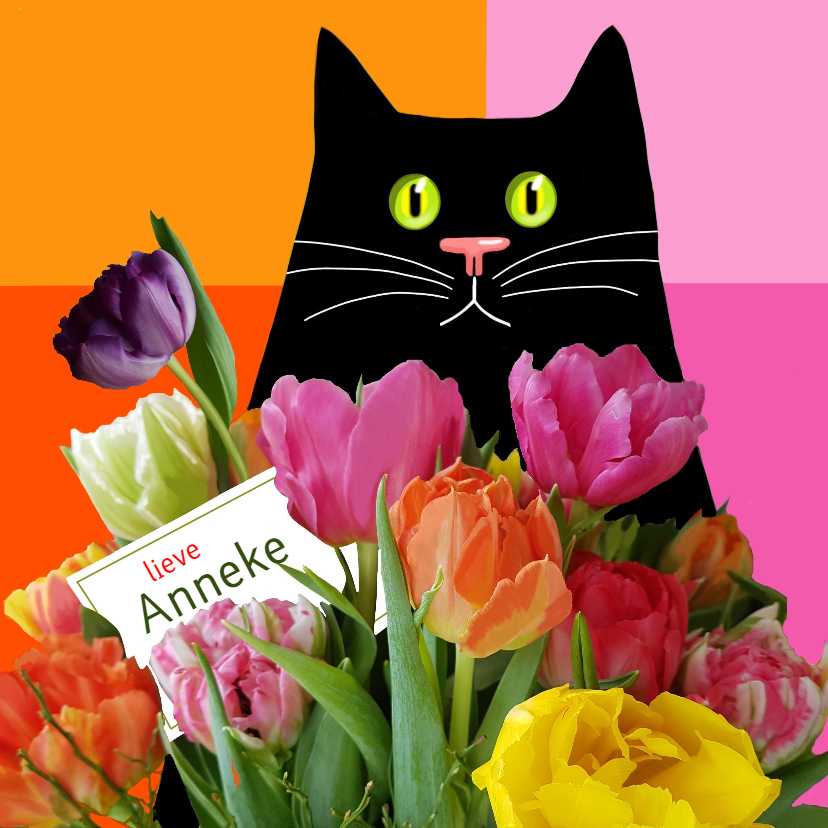Verjaardagskaarten - Verjaardag - kat met kleurige tulpen