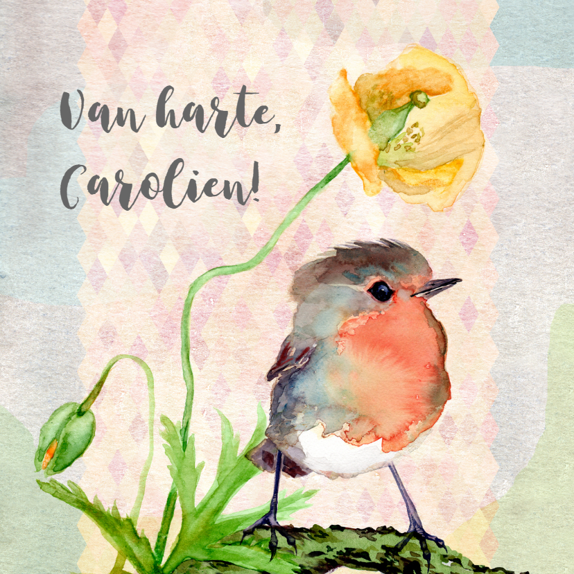 Verjaardag lente, klaproos - Verjaardagskaarten Verjaardagskaarten - Verjaardag lente, klaproos