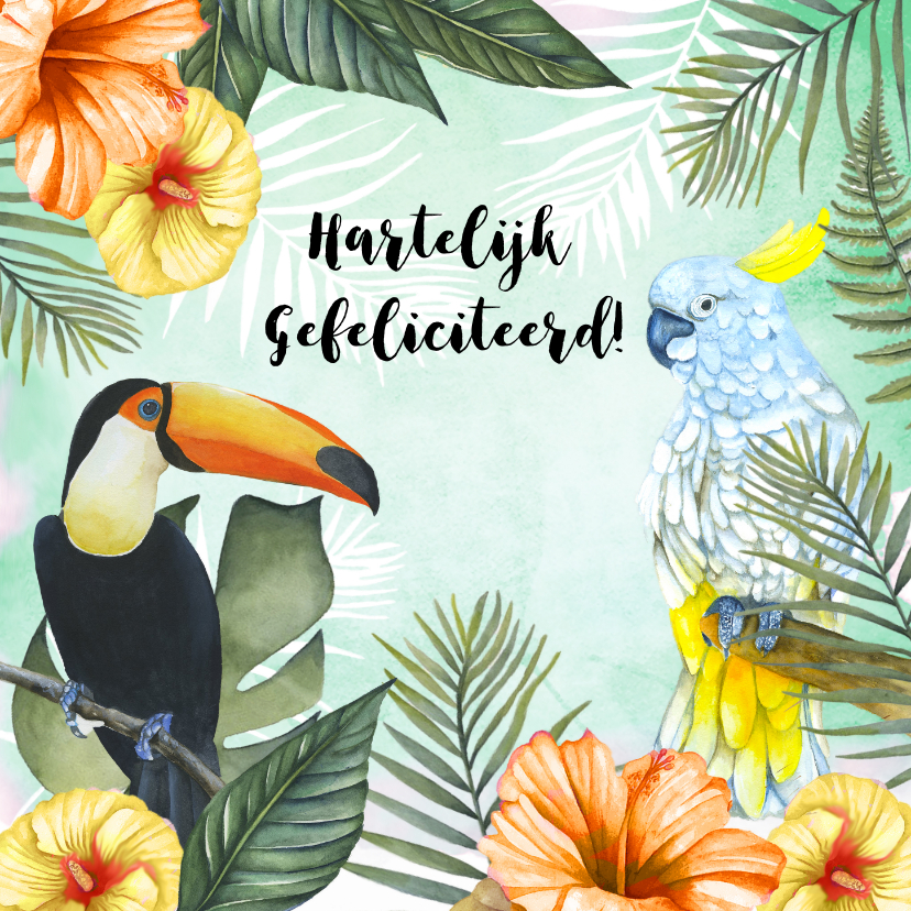 Verjaardagskaarten - Verjaardag tropisch vogels