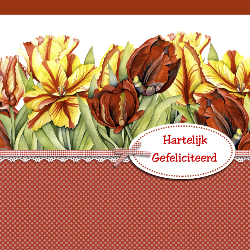 verjaardag tulpen met label - Verjaardagskaarten Verjaardagskaarten - verjaardag tulpen met label