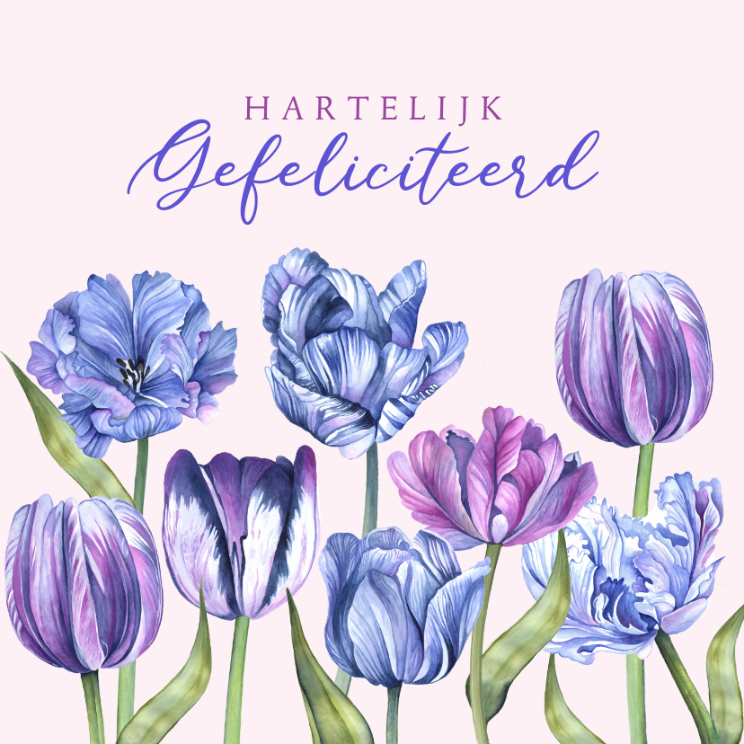 Verjaardagskaarten - Verjaardag tulpen paars en blauw