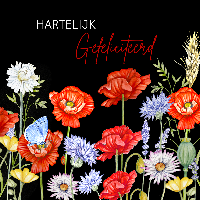 Verjaardagskaarten - Verjaardag veldbloemen