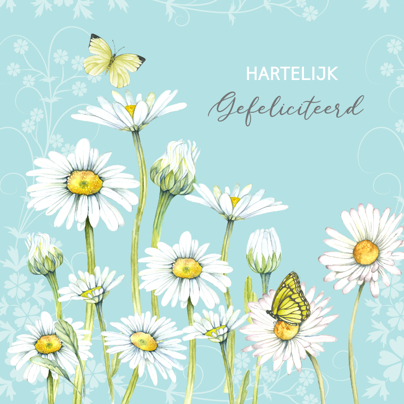 Verjaardag voorjaar margrieten - Verjaardagskaarten Verjaardagskaarten - Verjaardag voorjaar margrieten