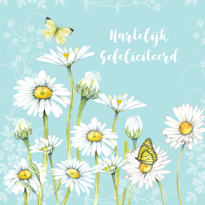 Verjaardagskaarten - Verjaardag voorjaar margrieten
