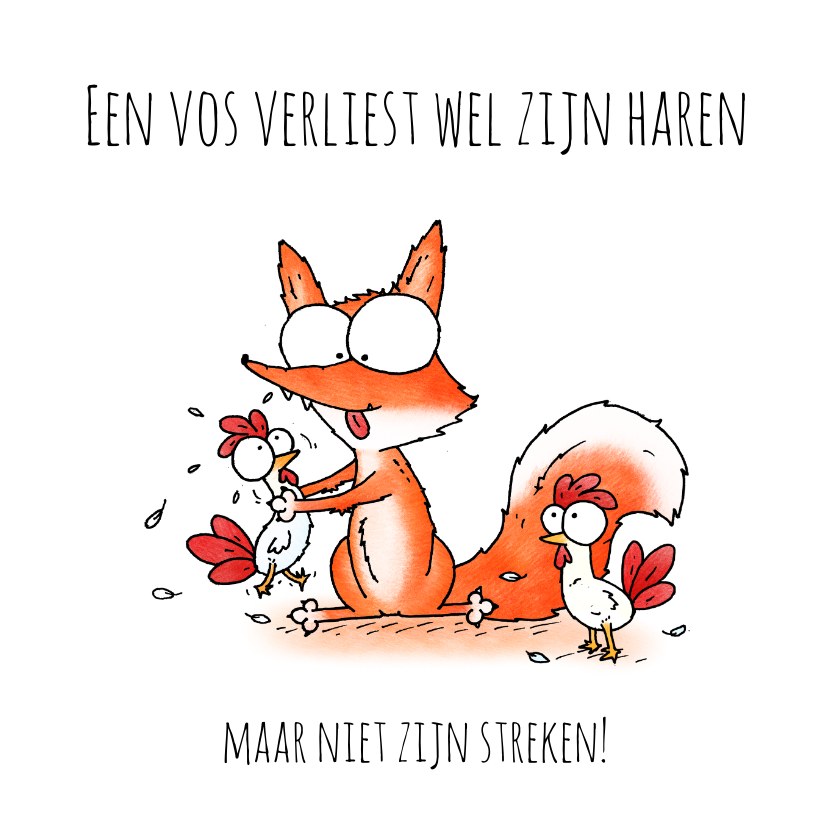 Verjaardagskaarten - Verjaardag vos - Een vos verliest wel zijn haren