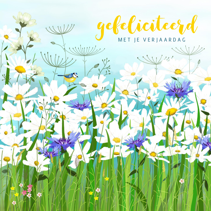 Verjaardagskaarten - Verjaardag - Wilde witte en blauwe bloemen en koolmeesje