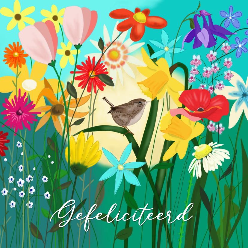 Verjaardag - winterkoninkje tussen de bloemen - Verjaardagskaarten Verjaardagskaarten - Verjaardag - winterkoninkje tussen de bloemen