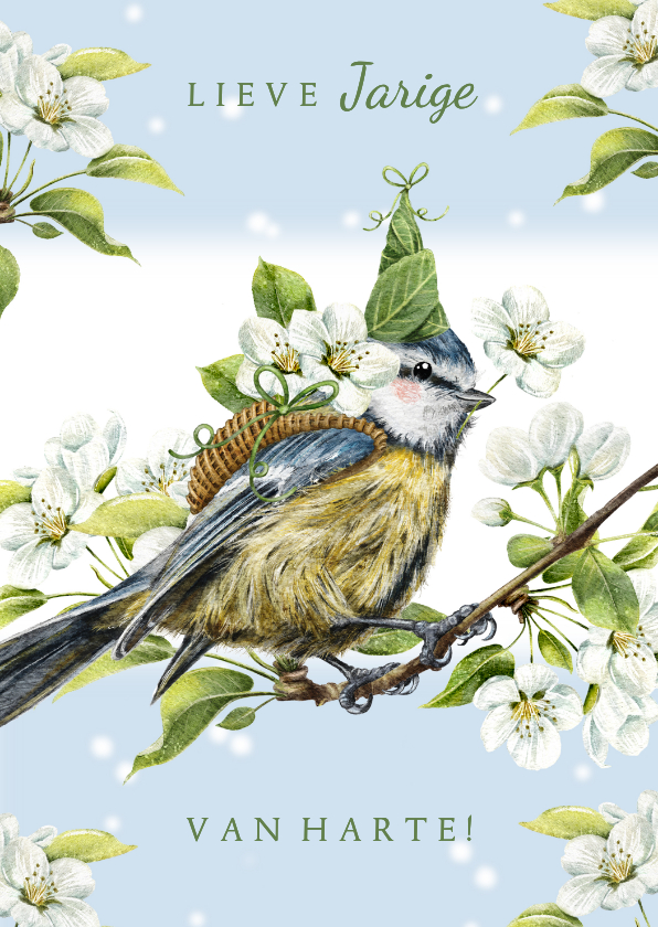 Verjaardagkaart pimpelmees met feesthoed op bloesemtak - Verjaardagskaarten Verjaardagskaarten - Verjaardagkaart pimpelmees met feesthoed op bloesemtak