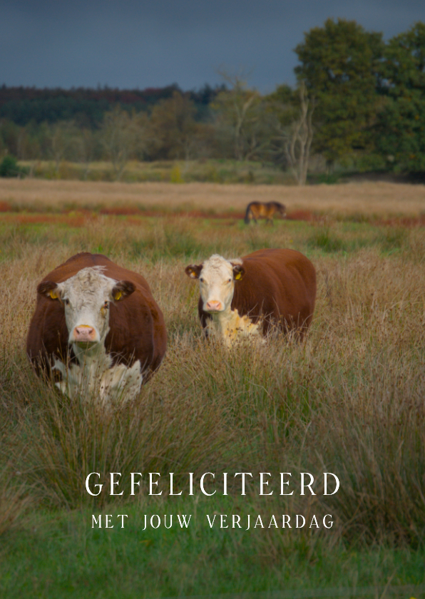 Verjaardagskaarten - verjaardagkaart 's moe mentje 